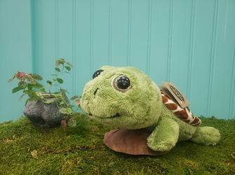 Turtle Plush From Rogue River Florist, Grant's Pass Flower Delivery